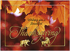 Sunlit Bounty H2981U-AA